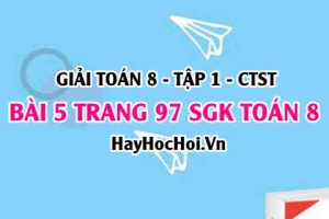 Giải bài 5 trang 97 Toán 8 Tập 1 SGK Chân trời sáng tạo
